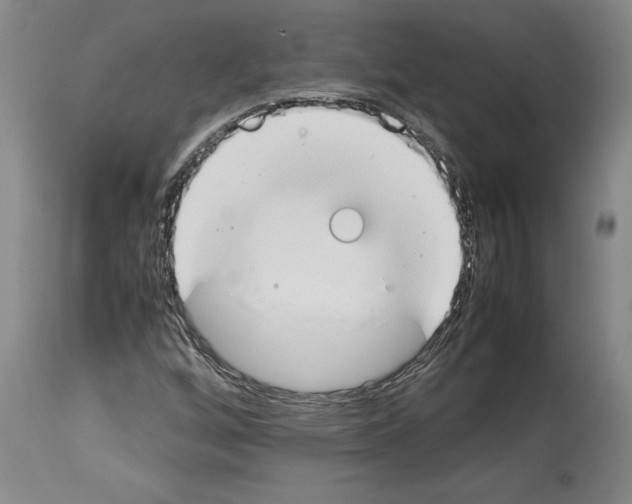 X0000113931256200911061211