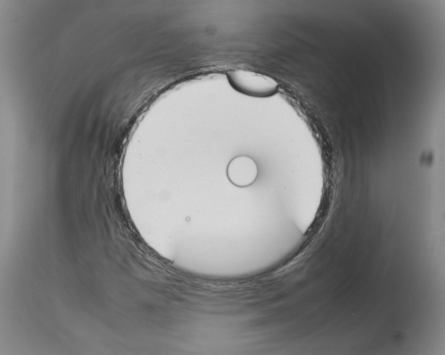 X0000113931257200911061211