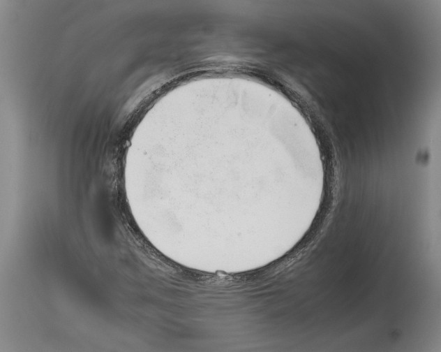 X0000113931259200911061211