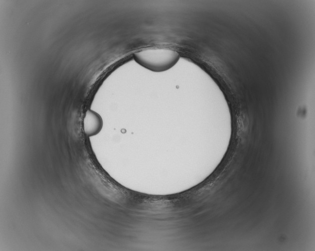 X0000113931260200911061211