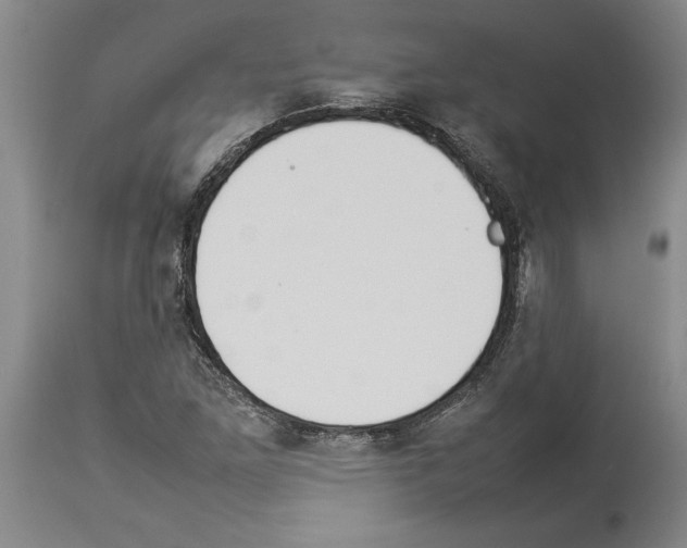X0000113931261200911061211