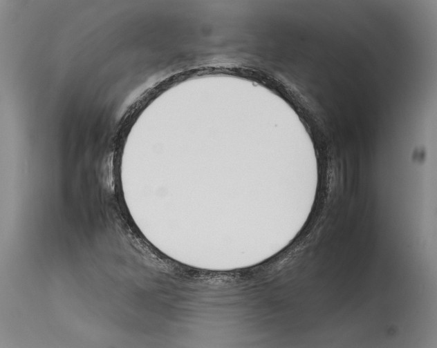 X0000113931262200911061211