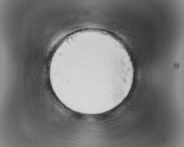 X0000113931263200911061211