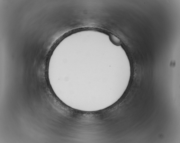 X0000113931264200911061211