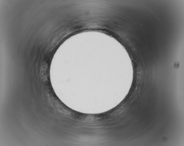 X0000113931265200911061211