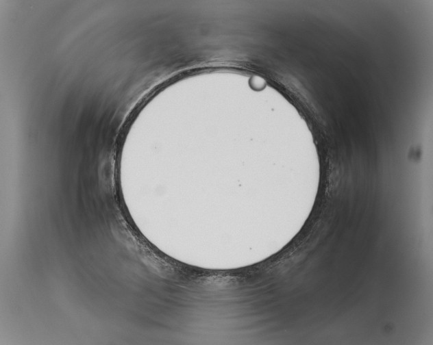 X0000113931268200911061211