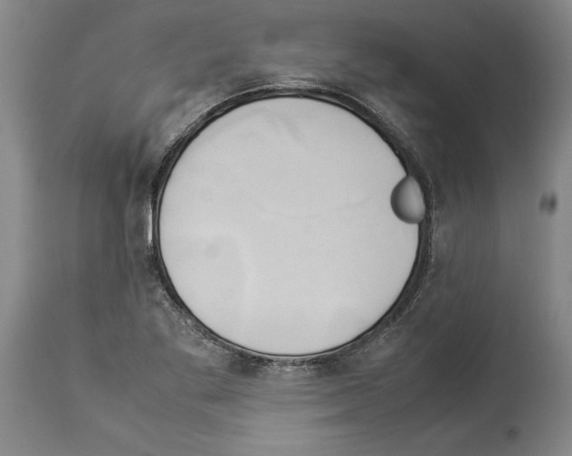 X0000113931269200911061211
