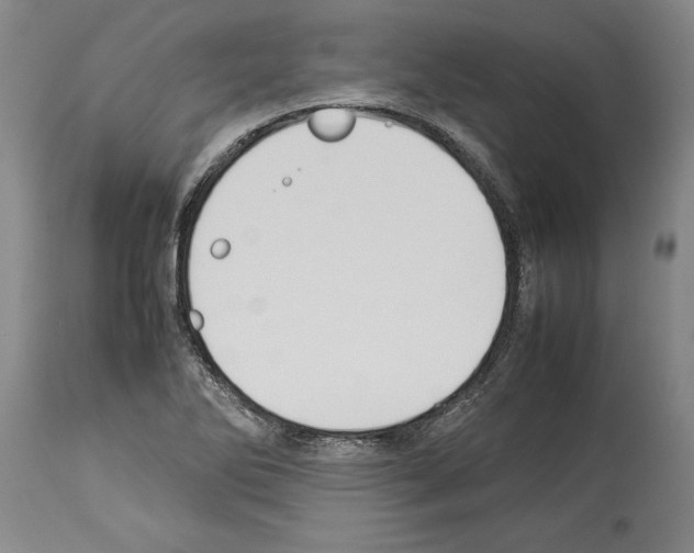 X0000113931270200911061211
