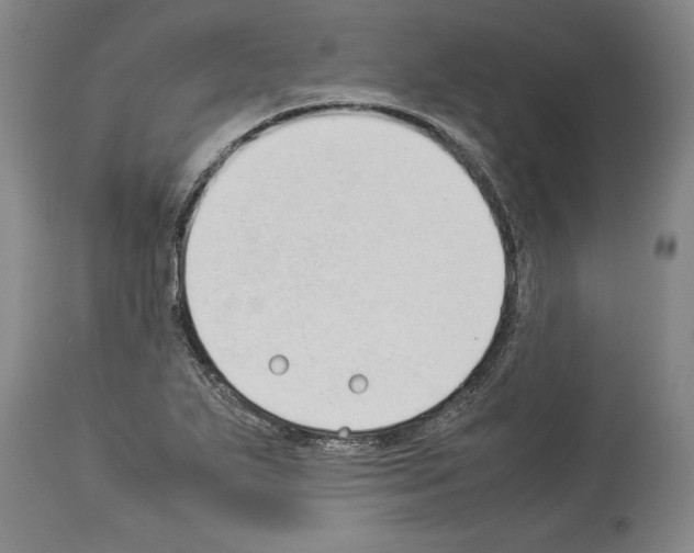 X0000113931271200911061211