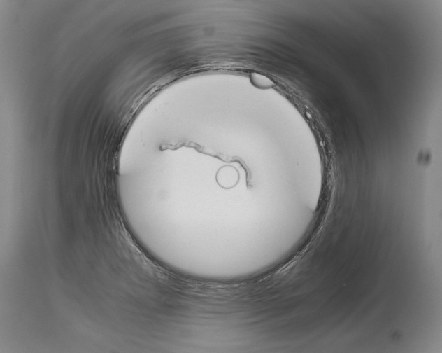 X0000113931273200911061211