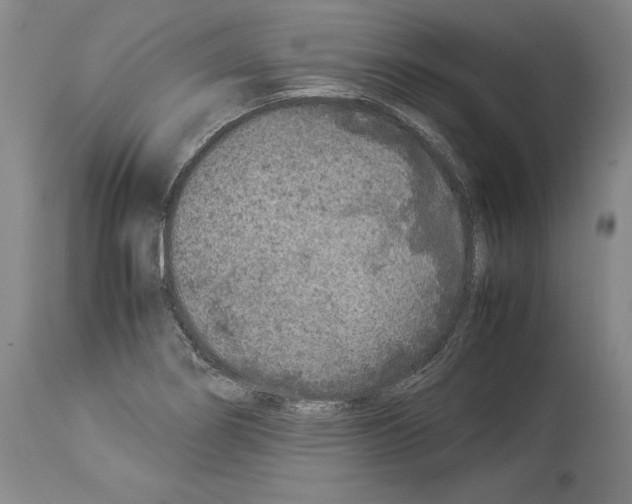 X0000113931274200911061211
