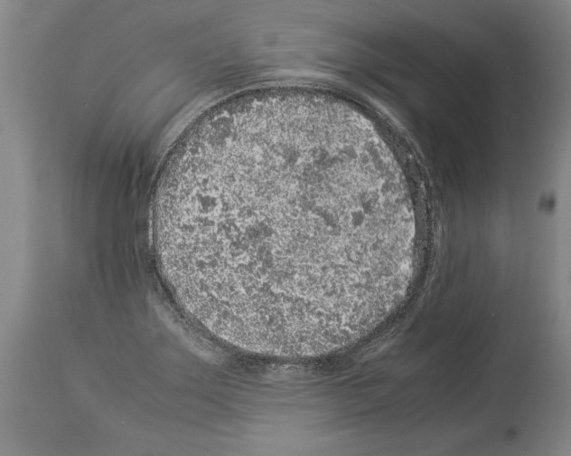 X0000113931275200911061211