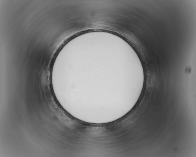 X0000113931280200911061211