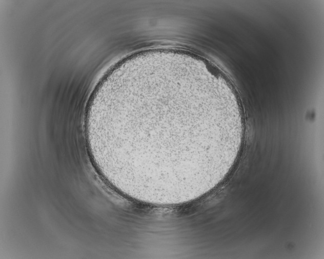 X0000113931283200911061211