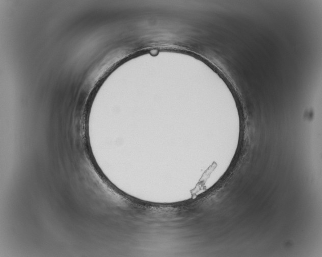 X0000113931285200911061211