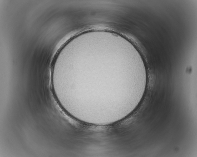 X0000113931286200911061211
