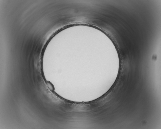 X0000113931288200911061211
