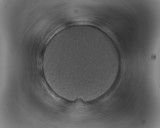 X0000113931289200911061211