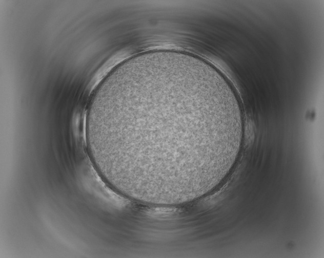 X0000113931290200911061211