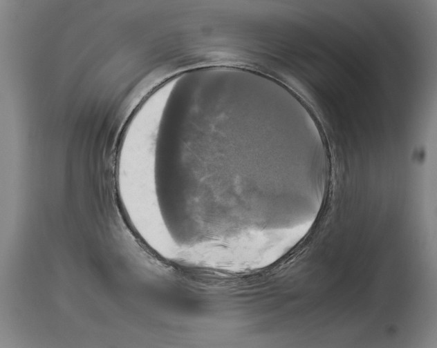 X0000113931291200911061211