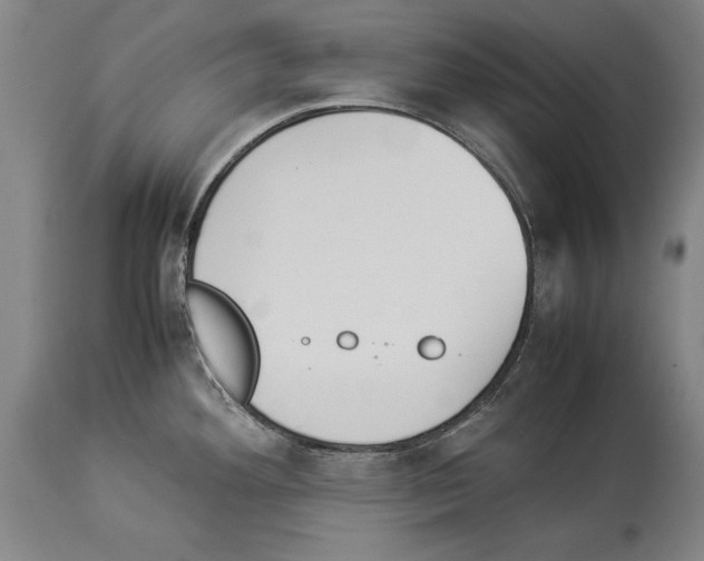 X0000113931292200911061211