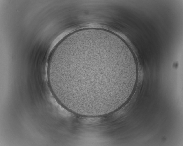 X0000113931294200911061211