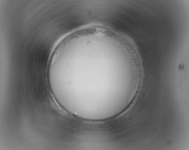 X0000113931296200911061211