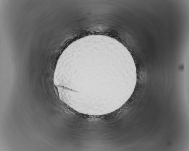 X0000113931297200911061210