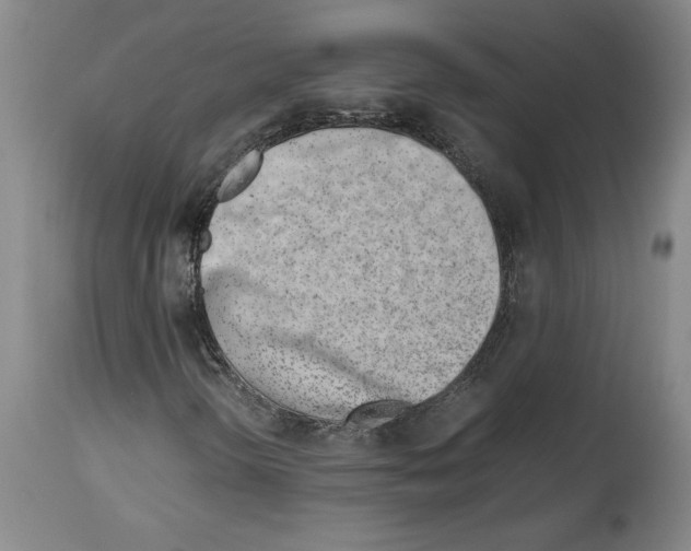 X0000113931298200911061210