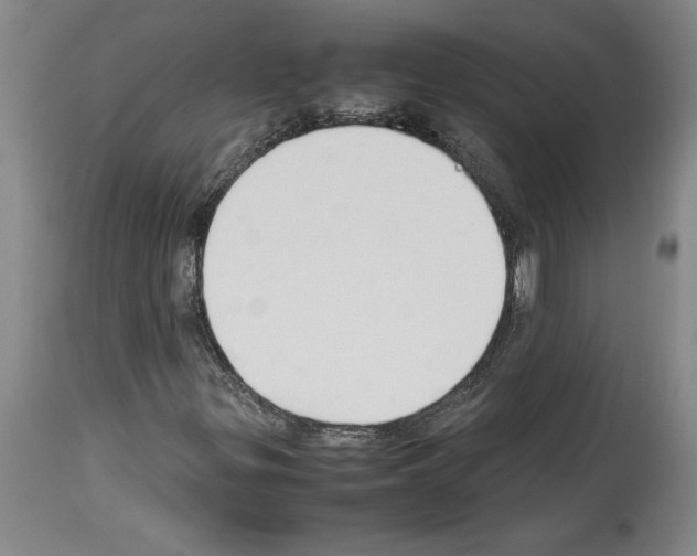 X0000113931299200911061210