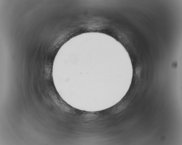 X0000113931300200911061210