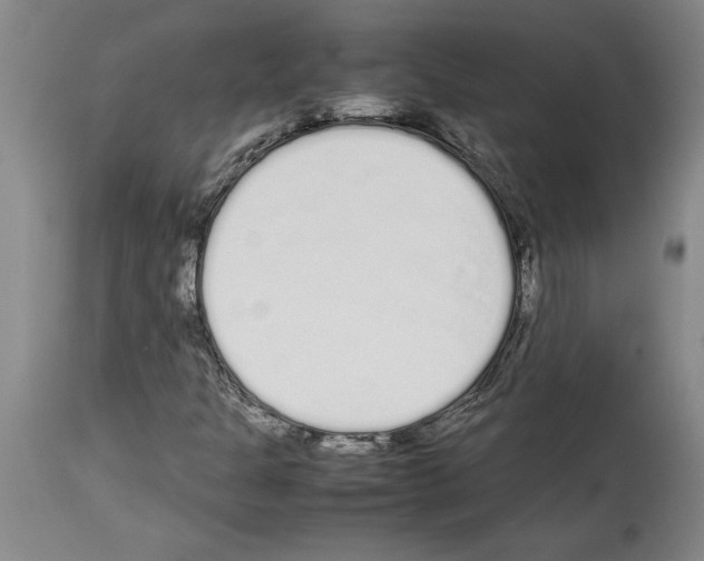 X0000113931301200911061210
