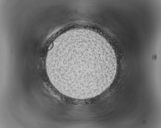 X0000113931302200911061210