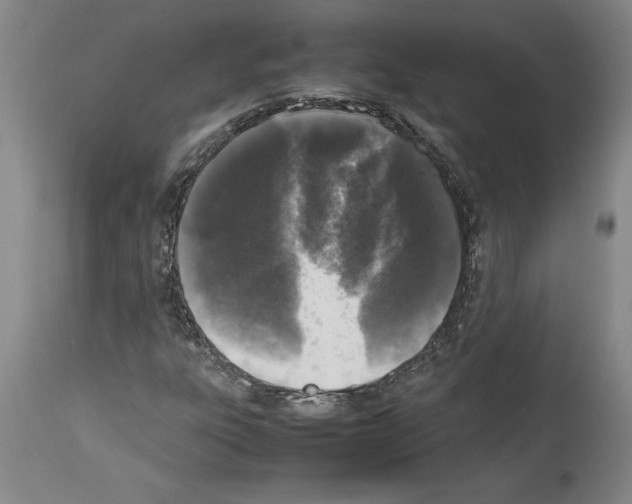 X0000113931303200911061210