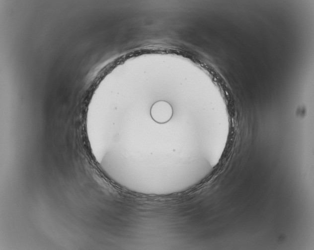 X0000113931304200911061210