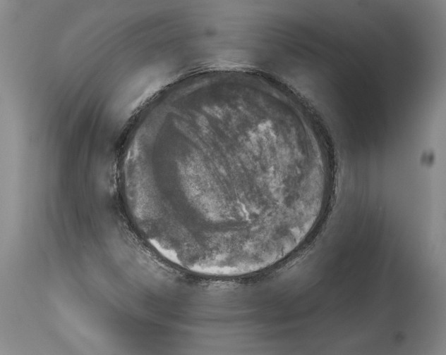 X0000113931306200911061210