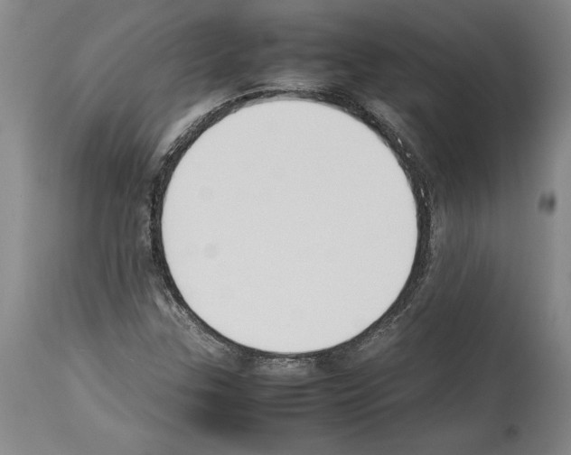 X0000113931307200911061210