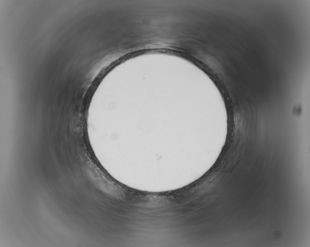 X0000113931308200911061210