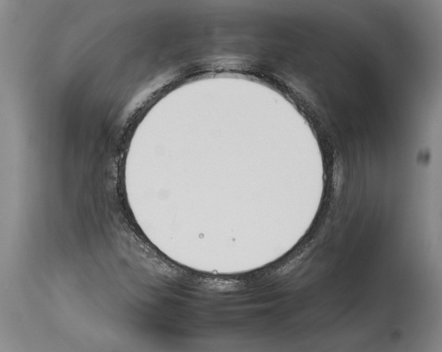 X0000113931309200911061210