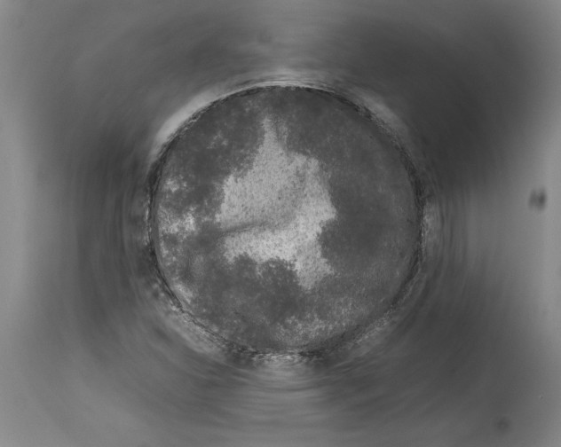 X0000113931310200911061210