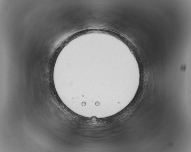 X0000113931311200911061210
