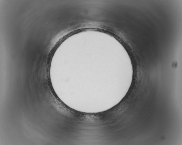 X0000113931312200911061210