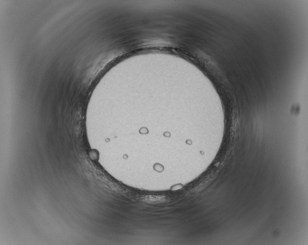 X0000113931313200911061210