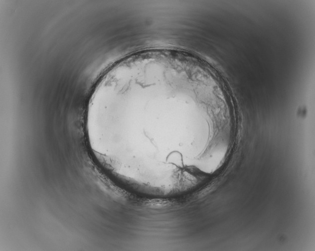 X0000113931314200911061210