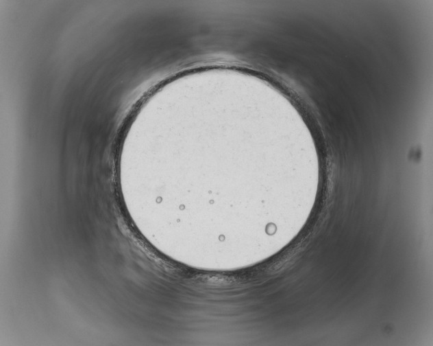 X0000113931318200911061210