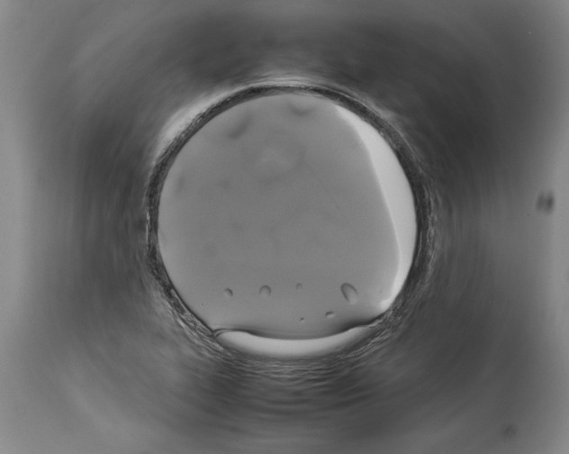 X0000113931319200911061210