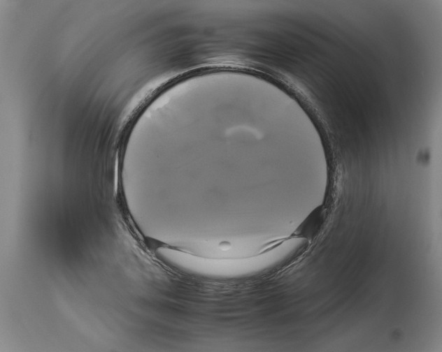 X0000113931323200911061210