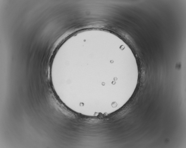 X0000113931324200911061210