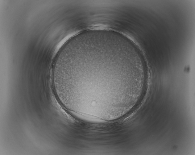 X0000113931325200911061210