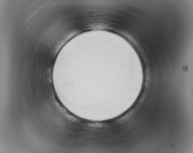X0000113931329200911061211